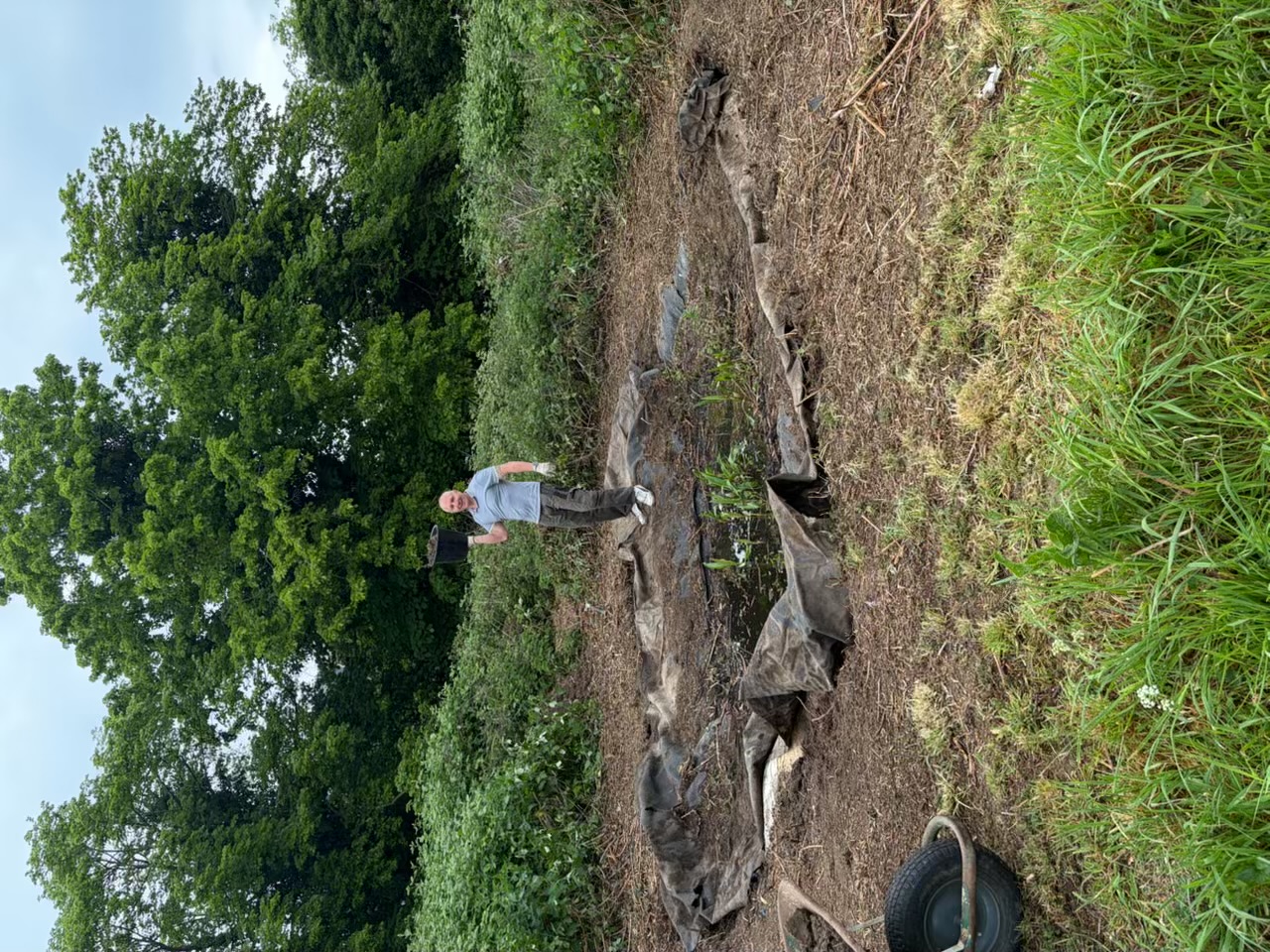 Pond Project – Work in Progress